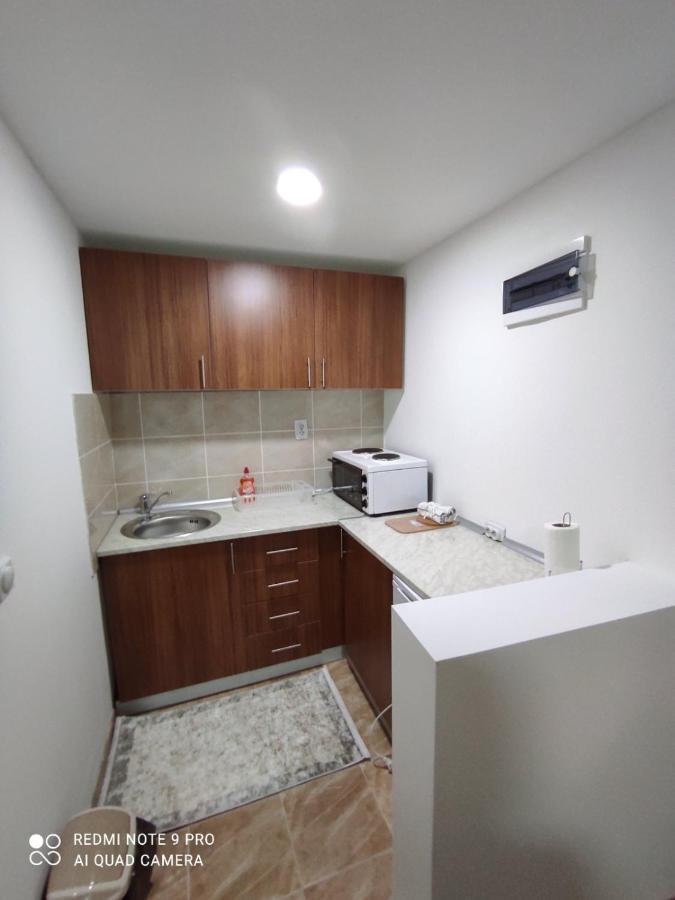 Vila Vera Borsko Jezero Extérieur photo