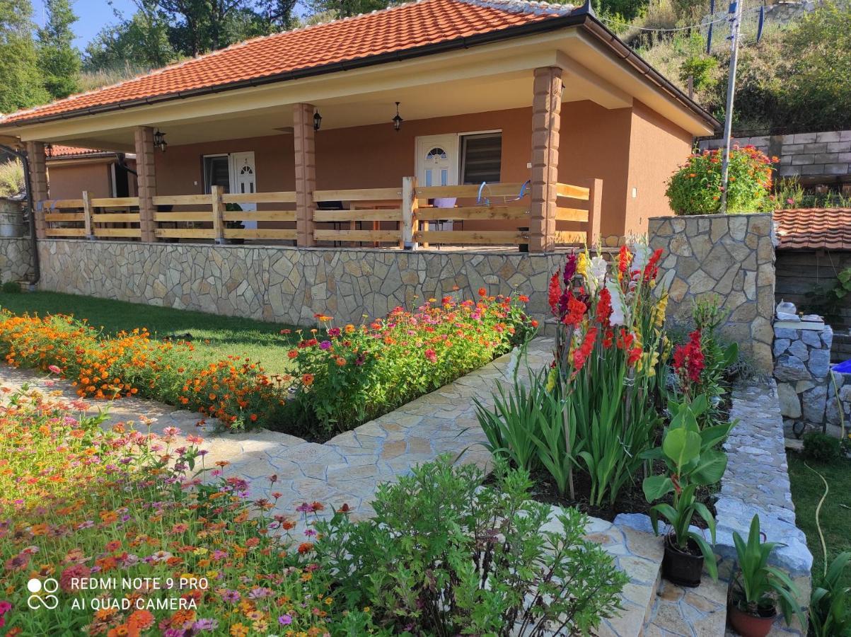 Vila Vera Borsko Jezero Extérieur photo