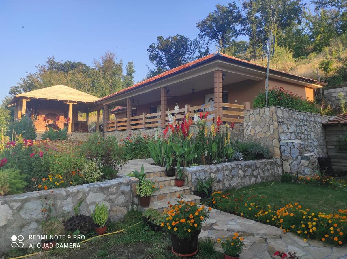 Vila Vera Borsko Jezero Extérieur photo