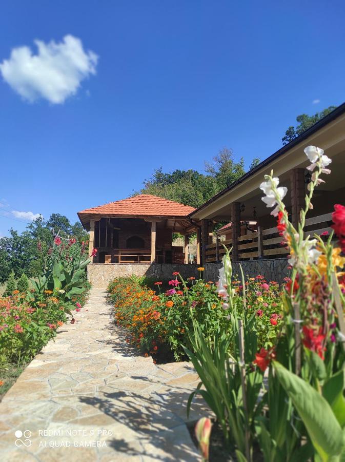 Vila Vera Borsko Jezero Extérieur photo